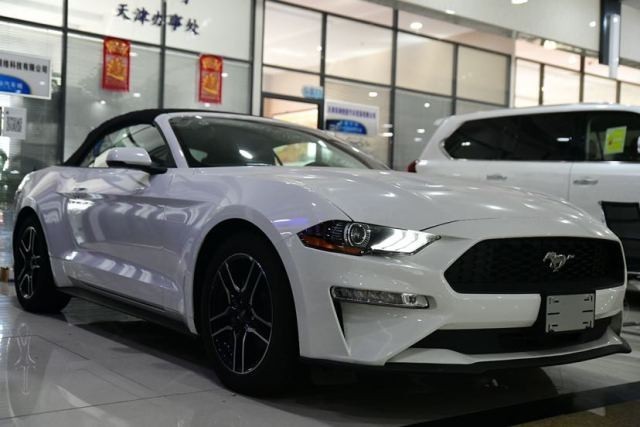 {投注}(野马跑车最贵多少钱一台)